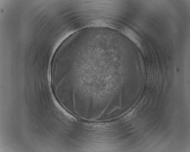 X0000065251084200603031757