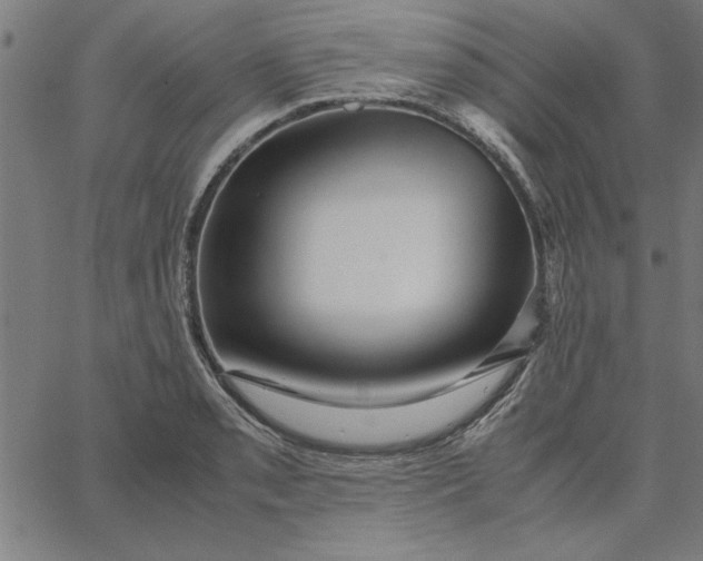 X0000065251085200603031757