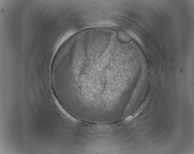 X0000065251087200603031757