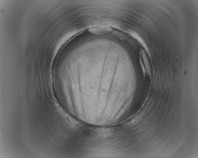 X0000065251088200603031757