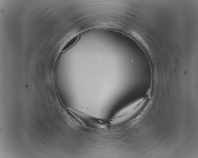 X0000065251089200603031757