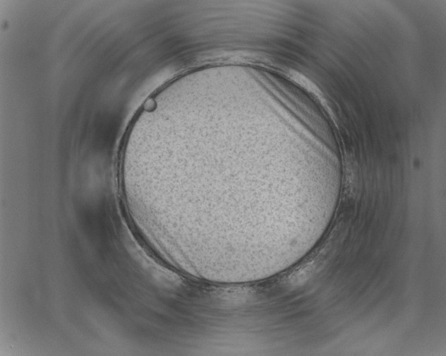 X0000065251090200603031757