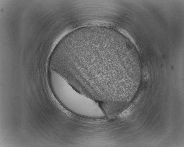 X0000065251091200603031757