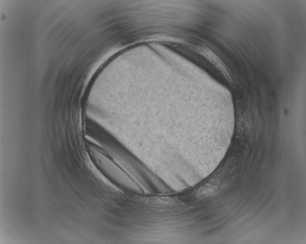 X0000065251092200603031757