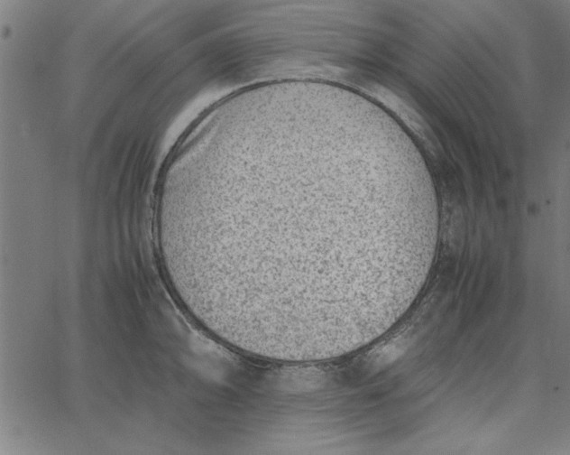 X0000065251094200603031757