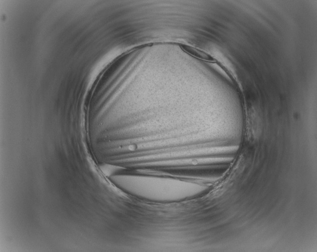 X0000065251096200603031757