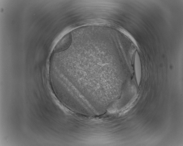 X0000065251099200603031757