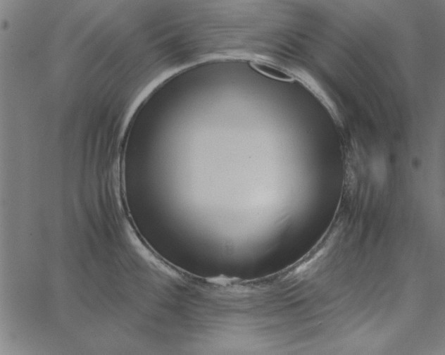 X0000065251100200603031757