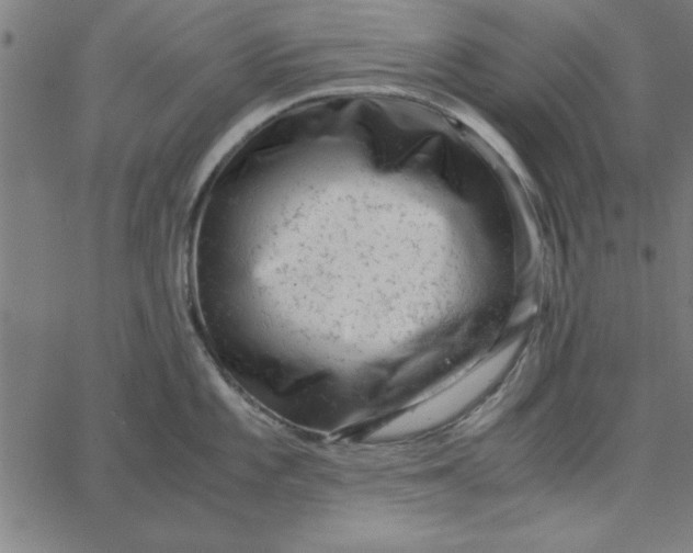 X0000065251101200603031757