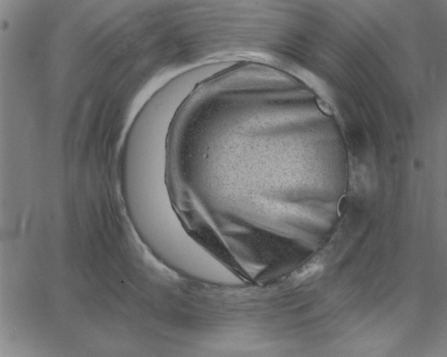 X0000065251102200603031757