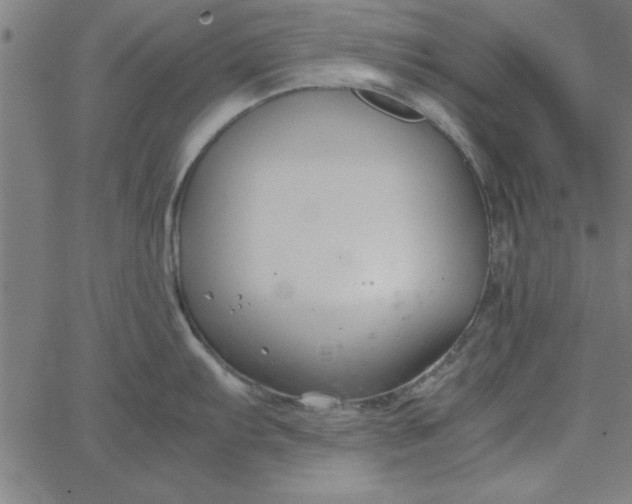 X0000065251103200603031757