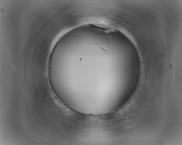 X0000065251104200603031757