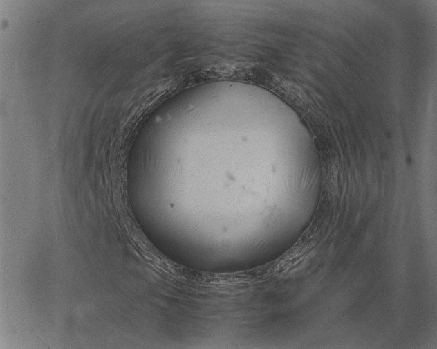 X0000065251105200603031756