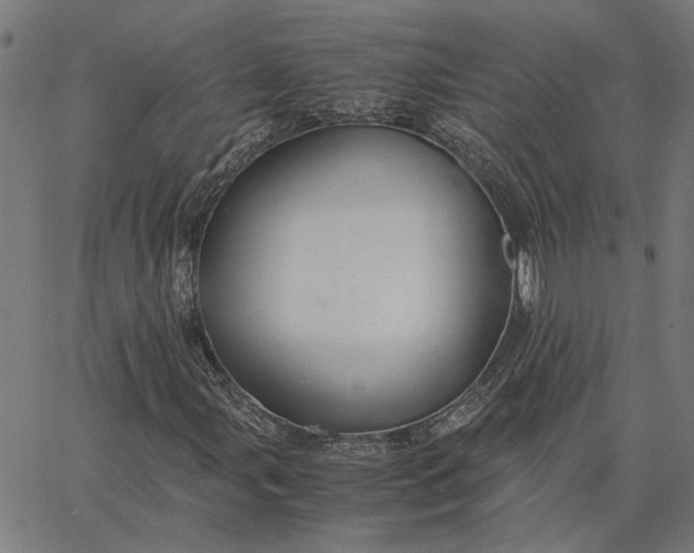 X0000065251107200603031756