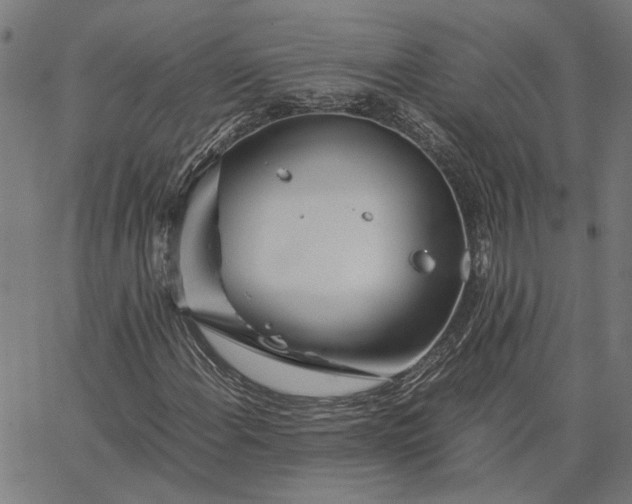 X0000065251108200603031756