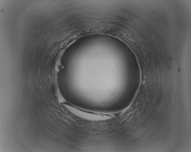 X0000065251109200603031756