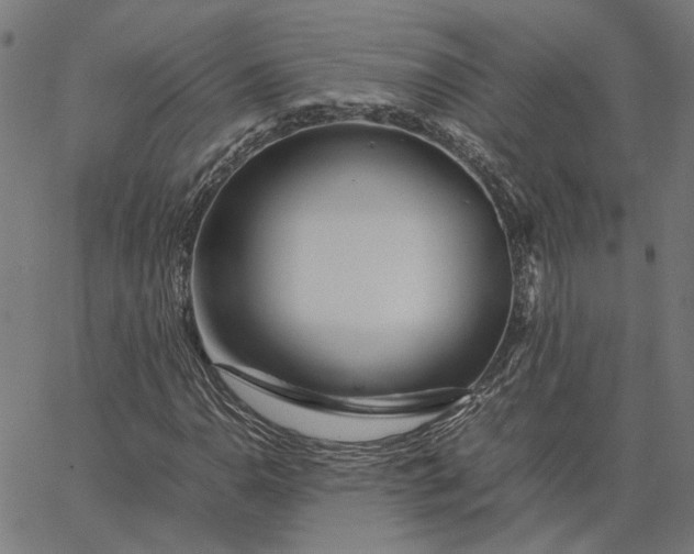 X0000065251110200603031756