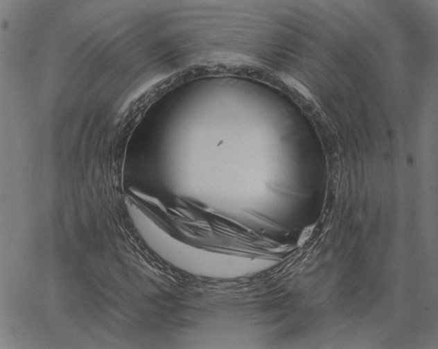 X0000065251112200603031756