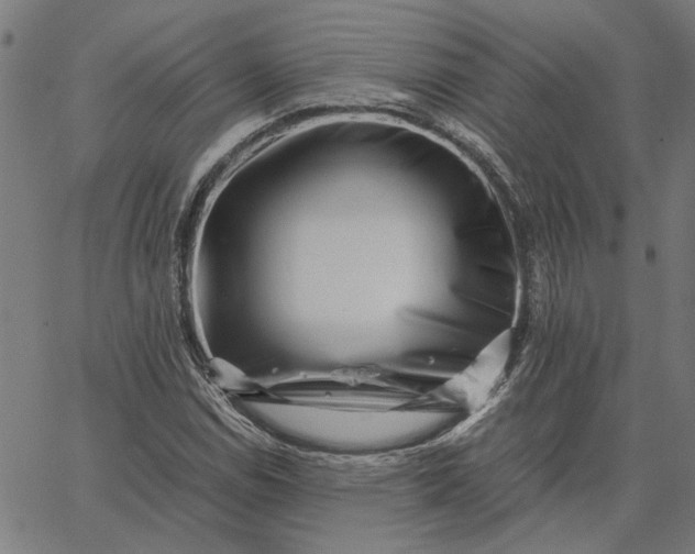 X0000065251114200603031756