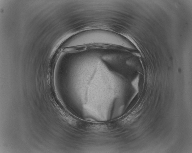 X0000065251115200603031756