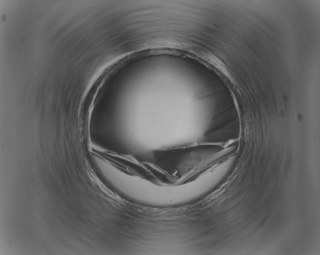 X0000065251116200603031756