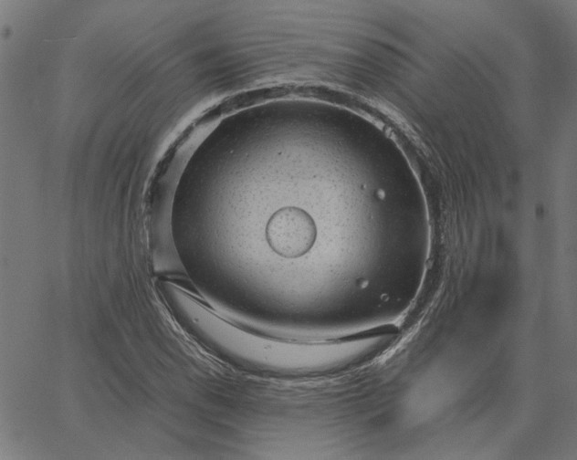 X0000065251118200603031757