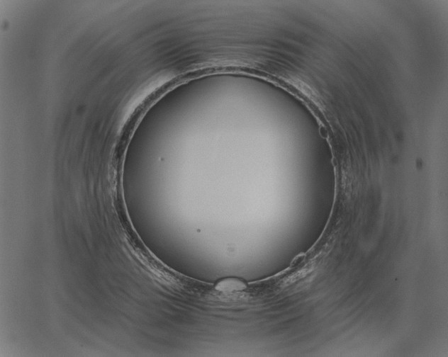 X0000065251119200603031757