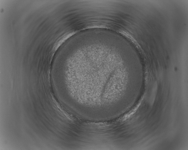 X0000065251121200603031757