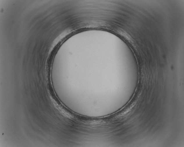 X0000065251122200603031757