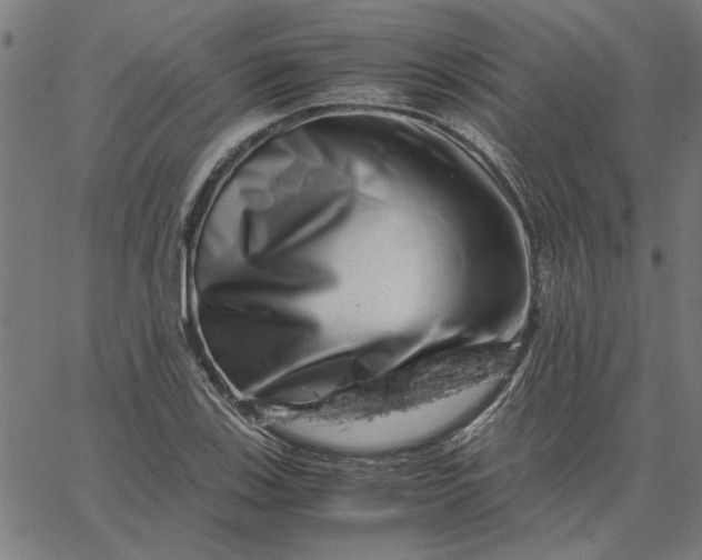 X0000065251123200603031757