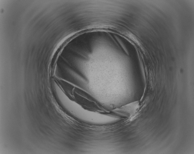 X0000065251124200603031757