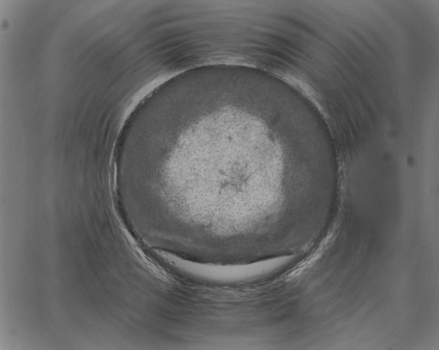 X0000065251125200603031757