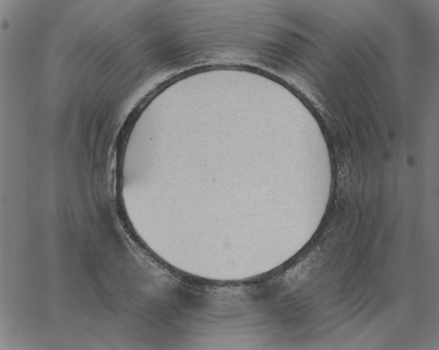 X0000065251126200603031757