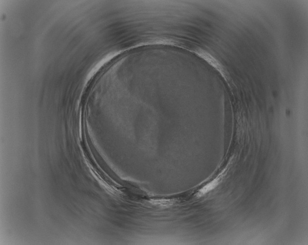 X0000065251127200603031757