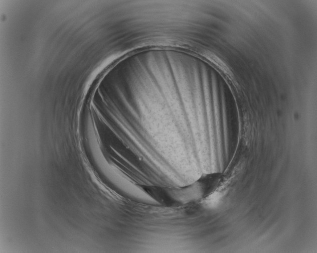 X0000065251128200603031757