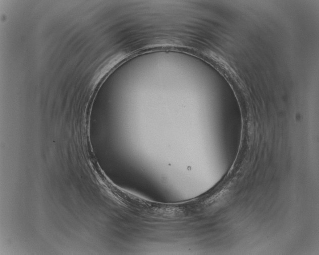 X0000065251129200603031757