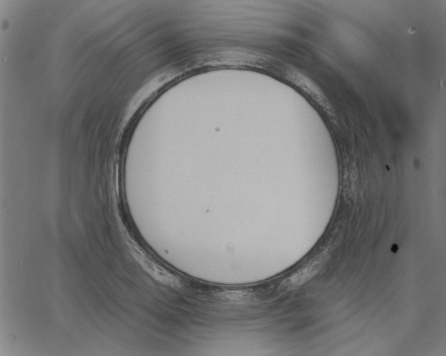 X0000065251130200603031757