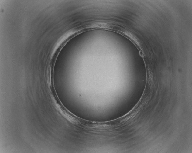 X0000065251131200603031757