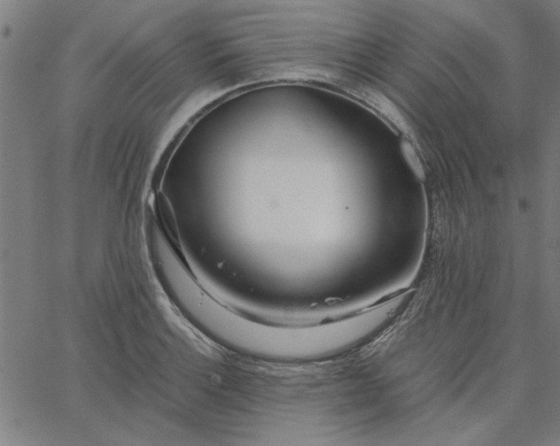 X0000065251132200603031757