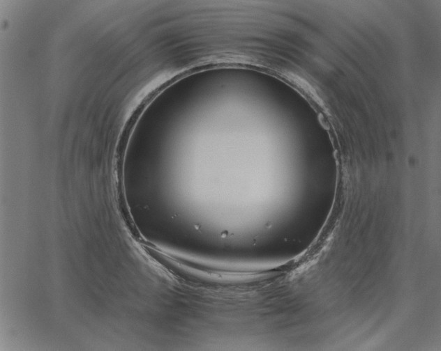 X0000065251133200603031757