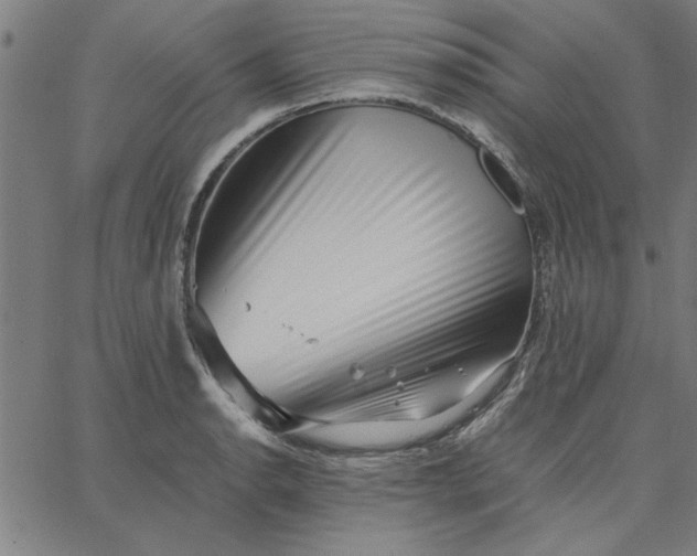 X0000065251134200603031757