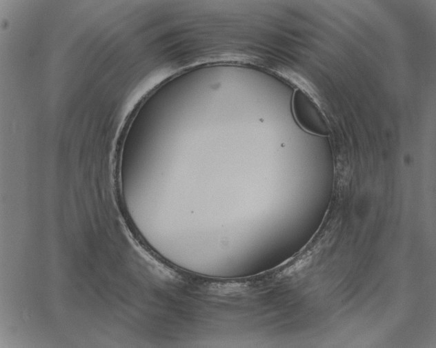 X0000065251135200603031757