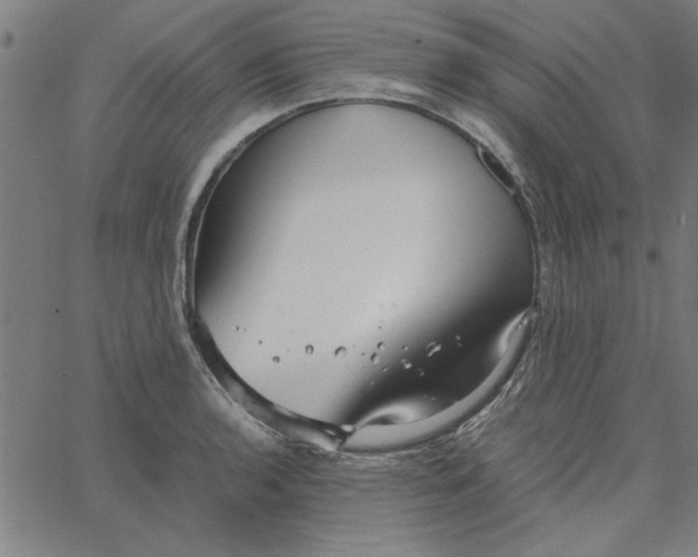 X0000065251136200603031757