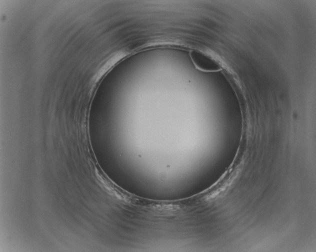 X0000065251137200603031757