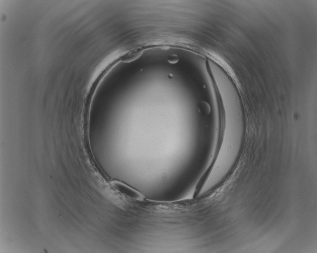 X0000065251138200603031757