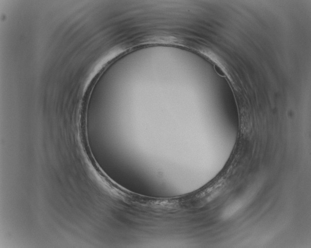 X0000065251139200603031757