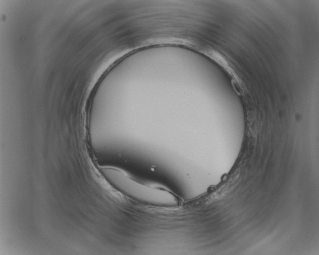 X0000065251140200603031757