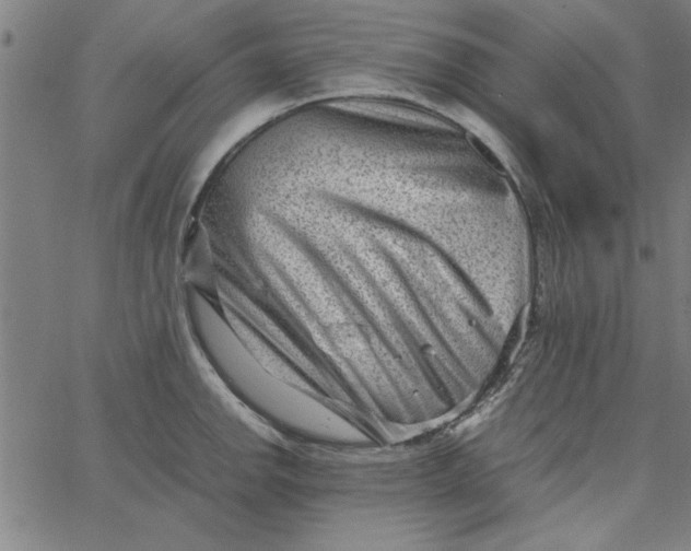 X0000065251142200603031757