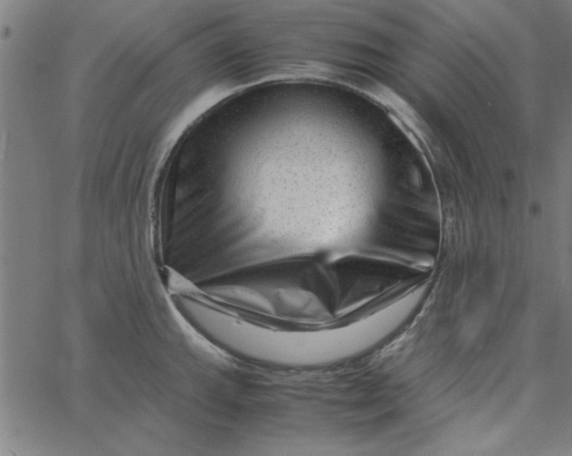 X0000065251143200603031757