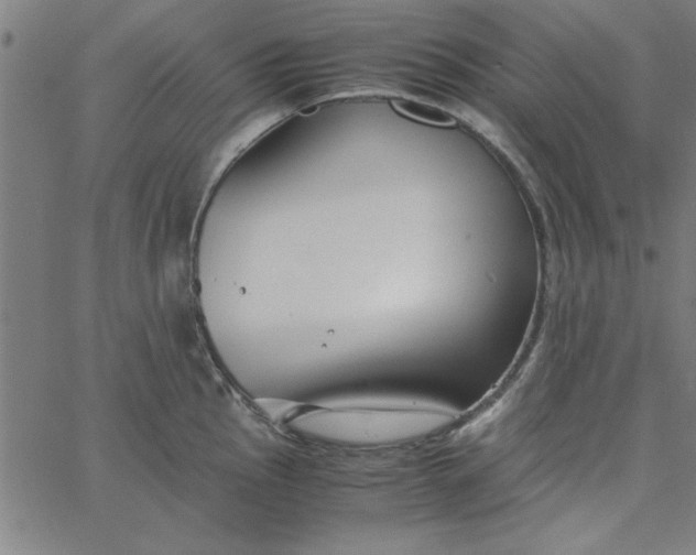 X0000065251145200603031757